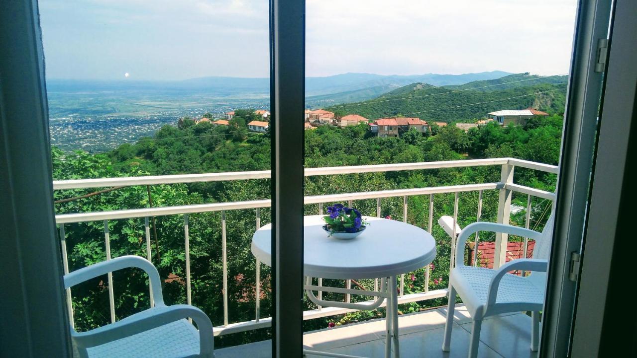Guest House Alazani Valley Signagi Exteriér fotografie